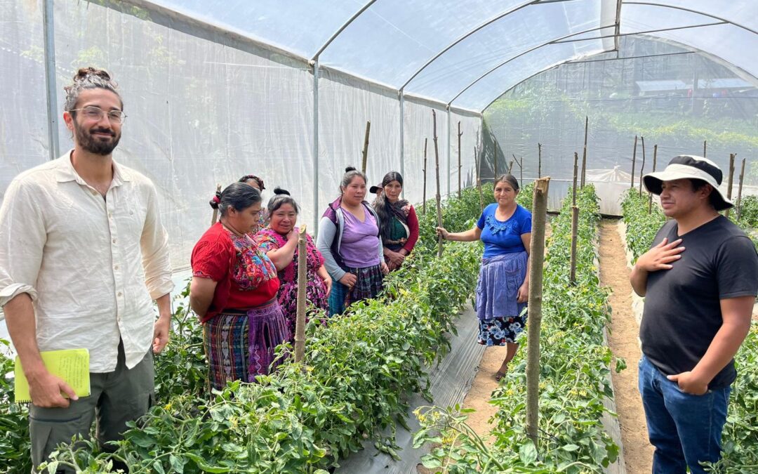 Seguimiento de los proyectos ejecutados en Guatemala