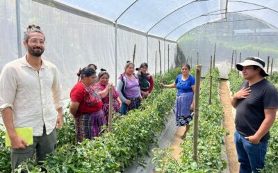 Seguimiento de los proyectos ejecutados en Guatemala