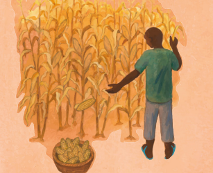 “Cosecha por el Futuro”